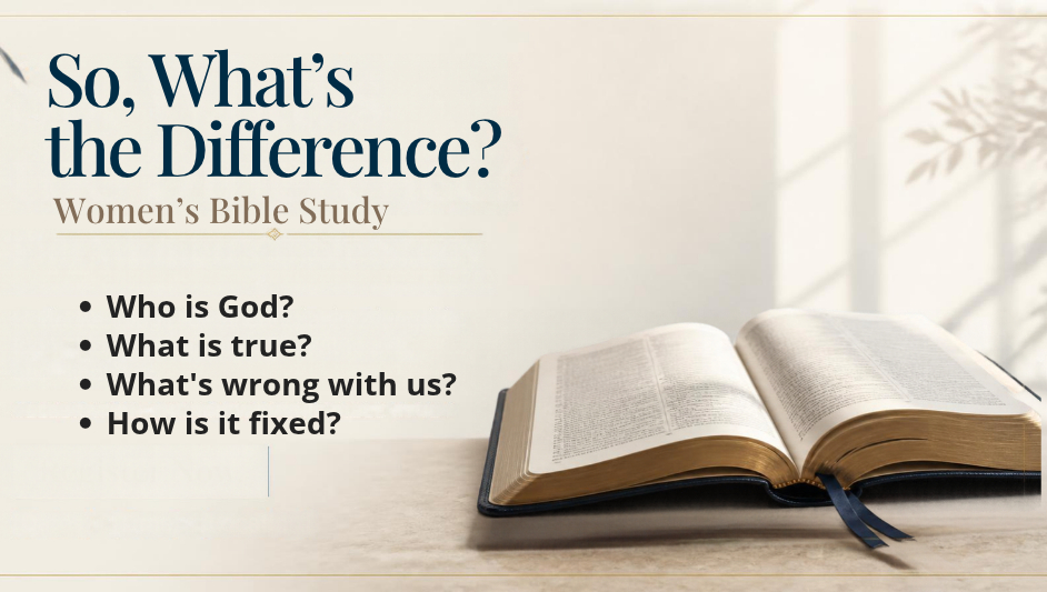 What's the Difference?